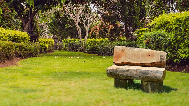  How to Make a Rustic Garden Bench