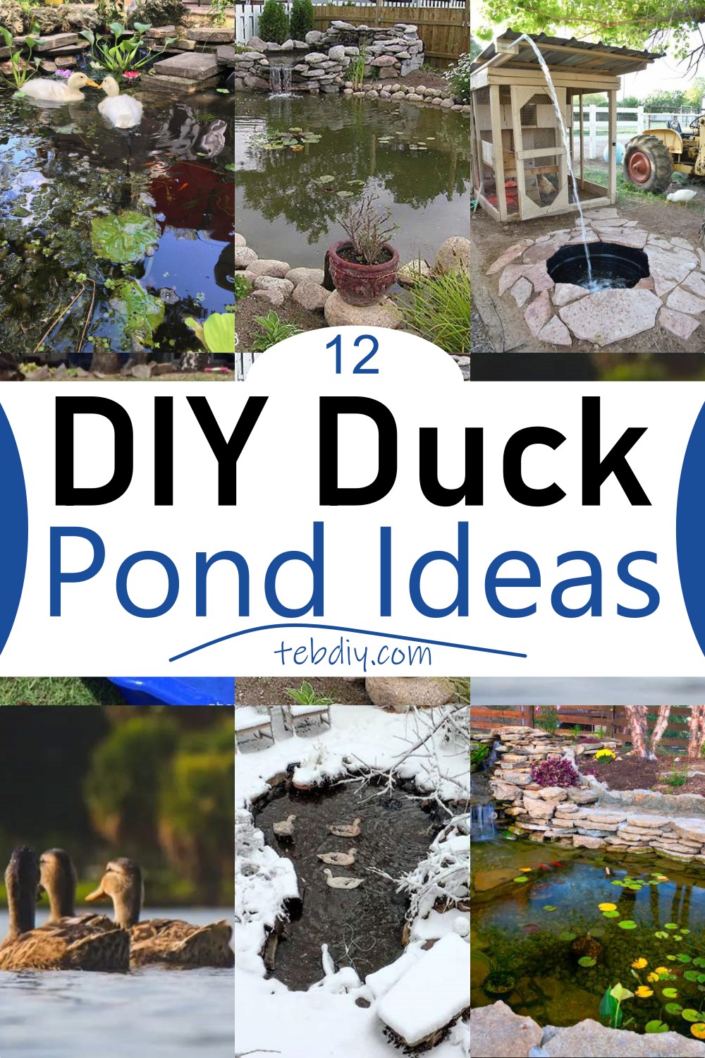 12 DIY Duck Pond Ideas