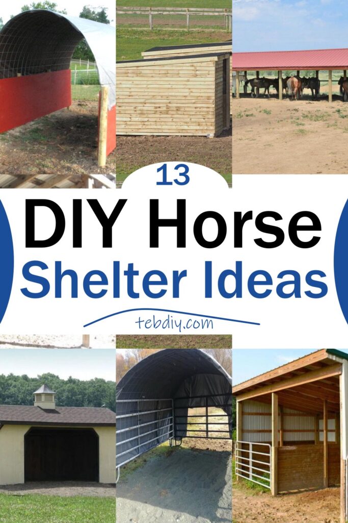 13-free-diy-horse-shelter-ideas-teb-diy