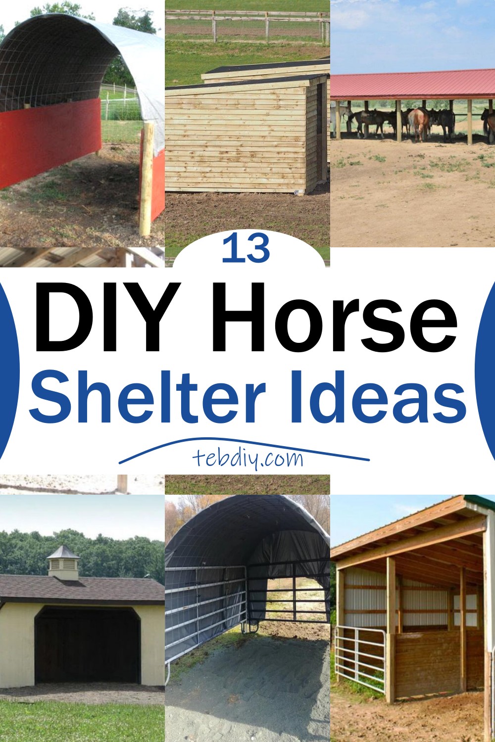 13 DIY Horse Shelter Ideas