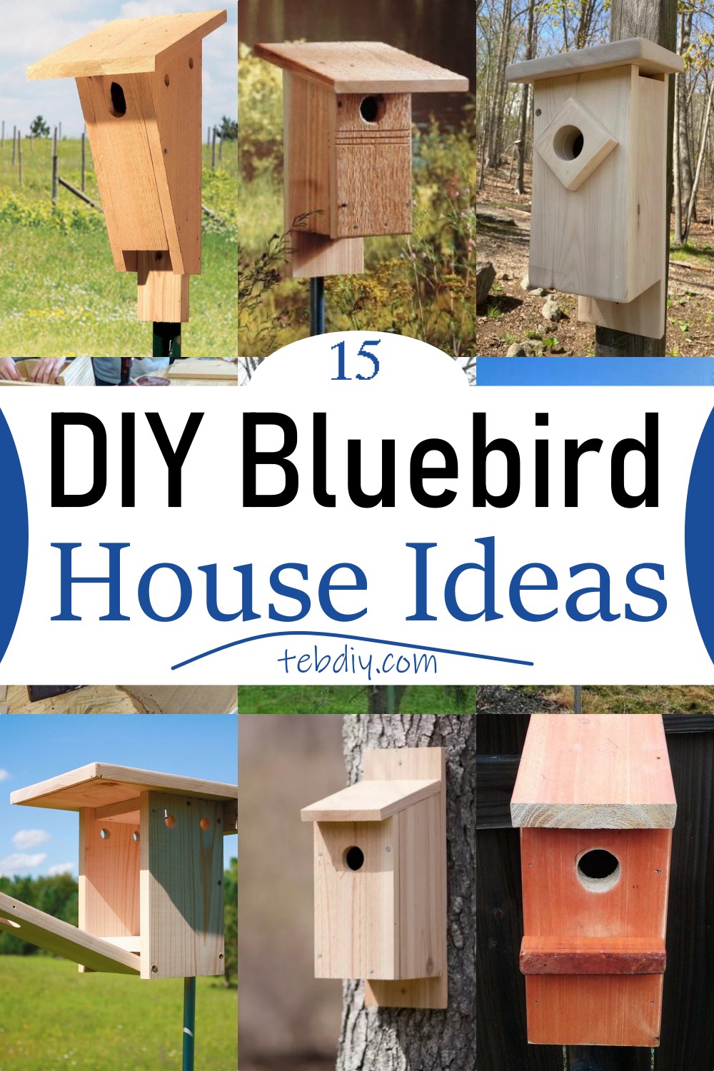 15 DIY Bluebird House Ideas