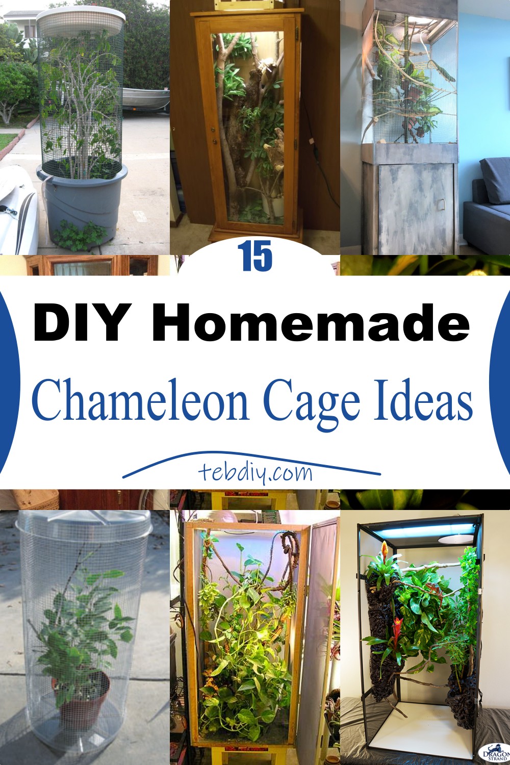 15 DIY Homemade Chameleon Cage Ideas