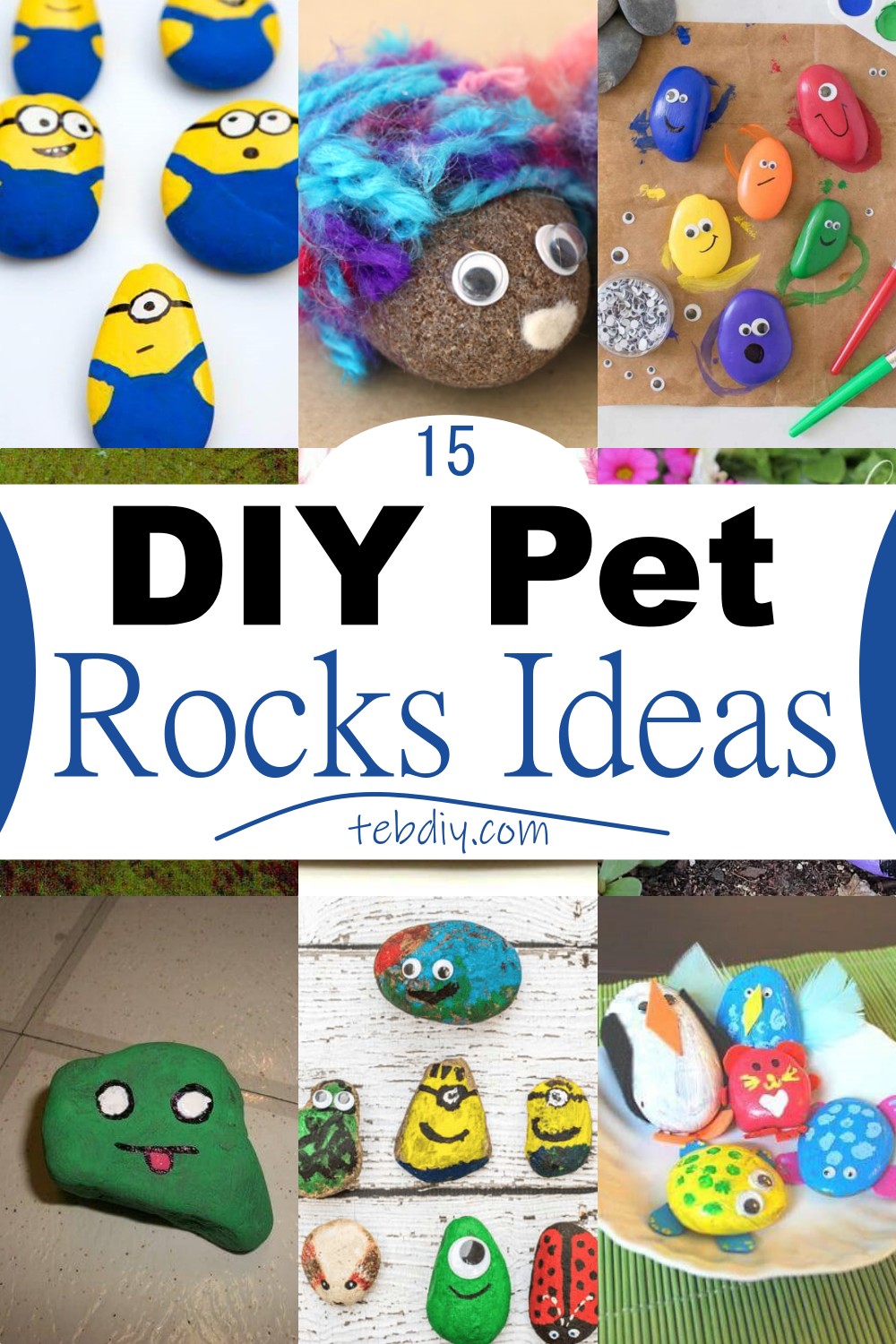 15 DIY Pet Rocks Ideas