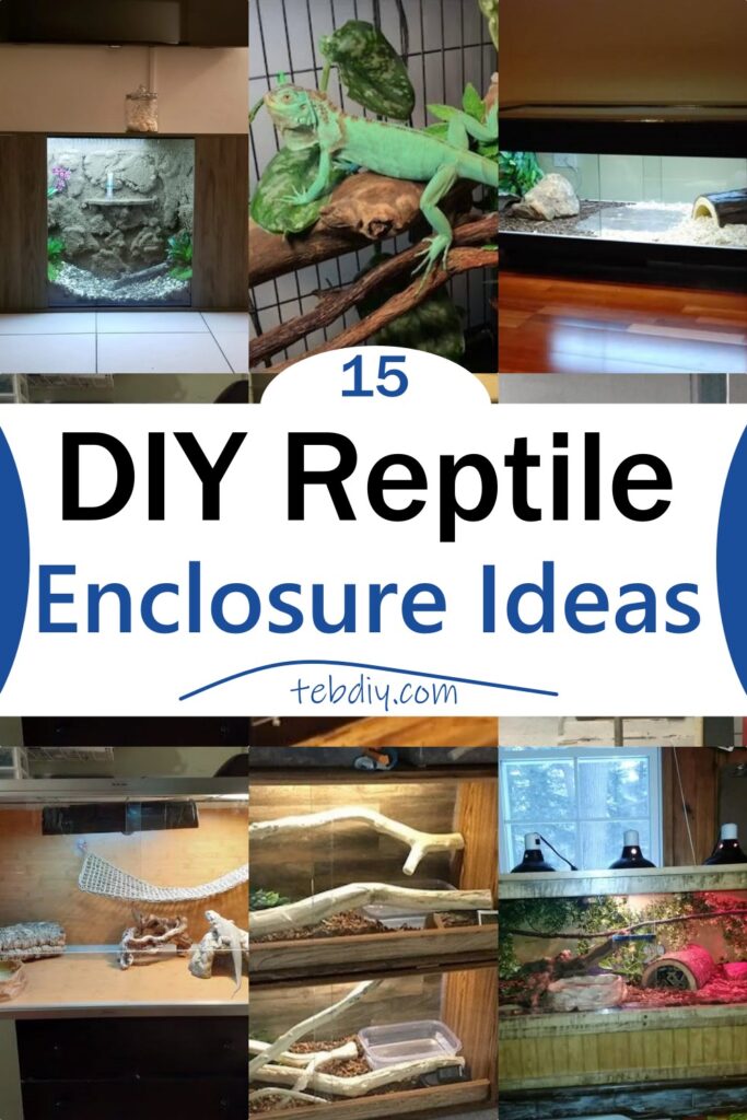15 DIY Reptile Enclosure Ideas Teb DIY