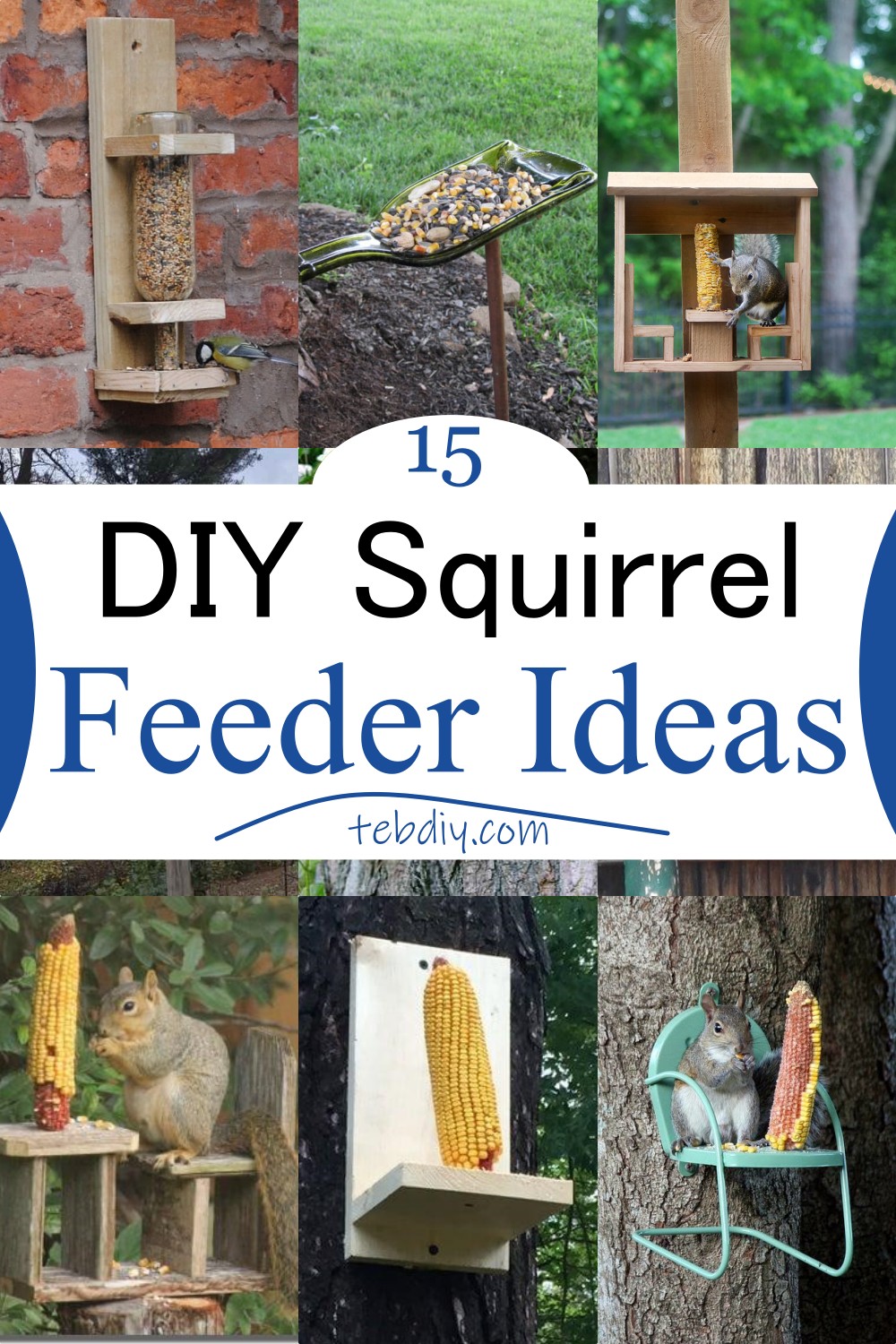 15 DIY Squirrel Feeder Ideas