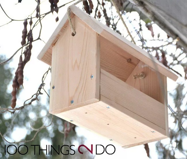 DIY Bird Feeder