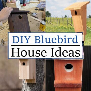 DIY Bluebird House Ideas