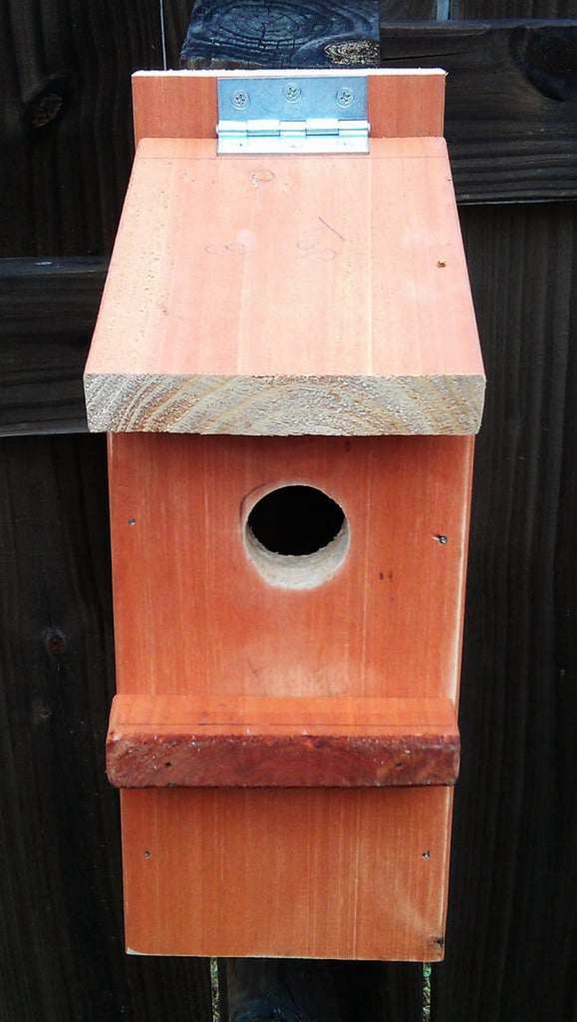  DIY Bluebird House