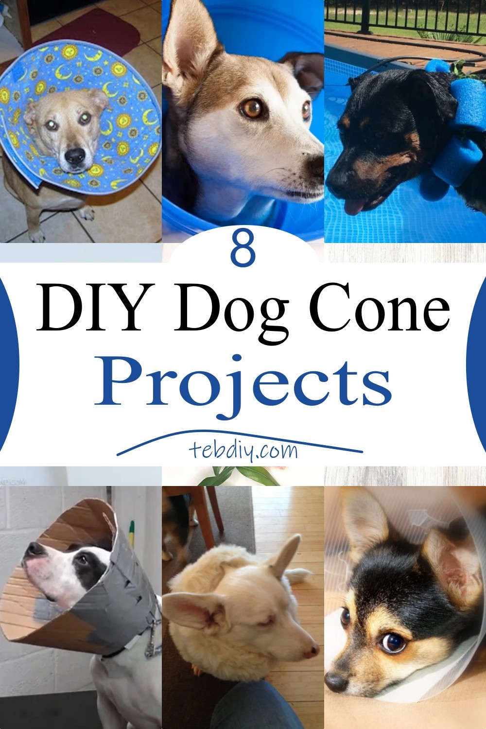 DIY Dog Cone Projects 