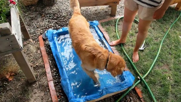 DIY Dog Pool