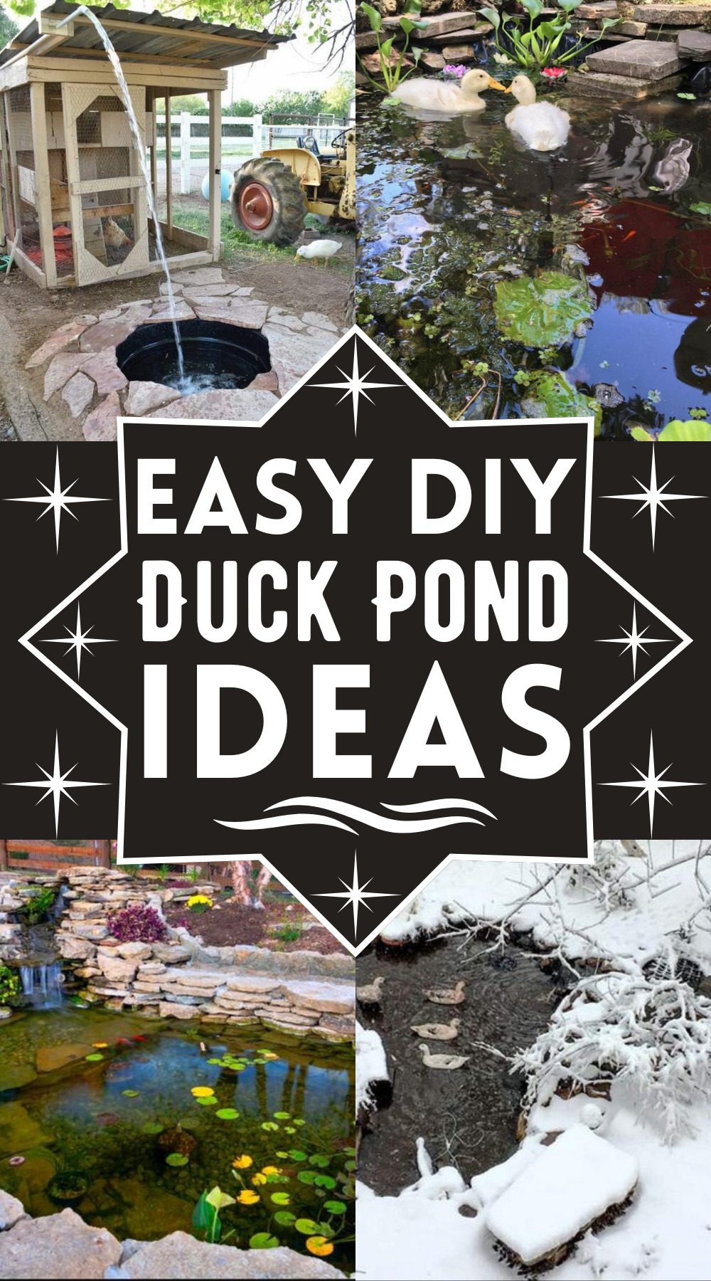 DIY Duck Pond Ideas