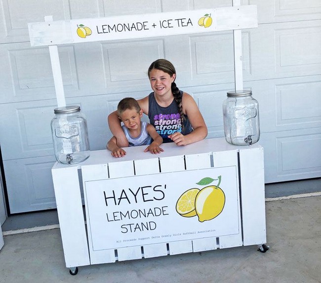 DIY Fence Picket Lemonade Stand