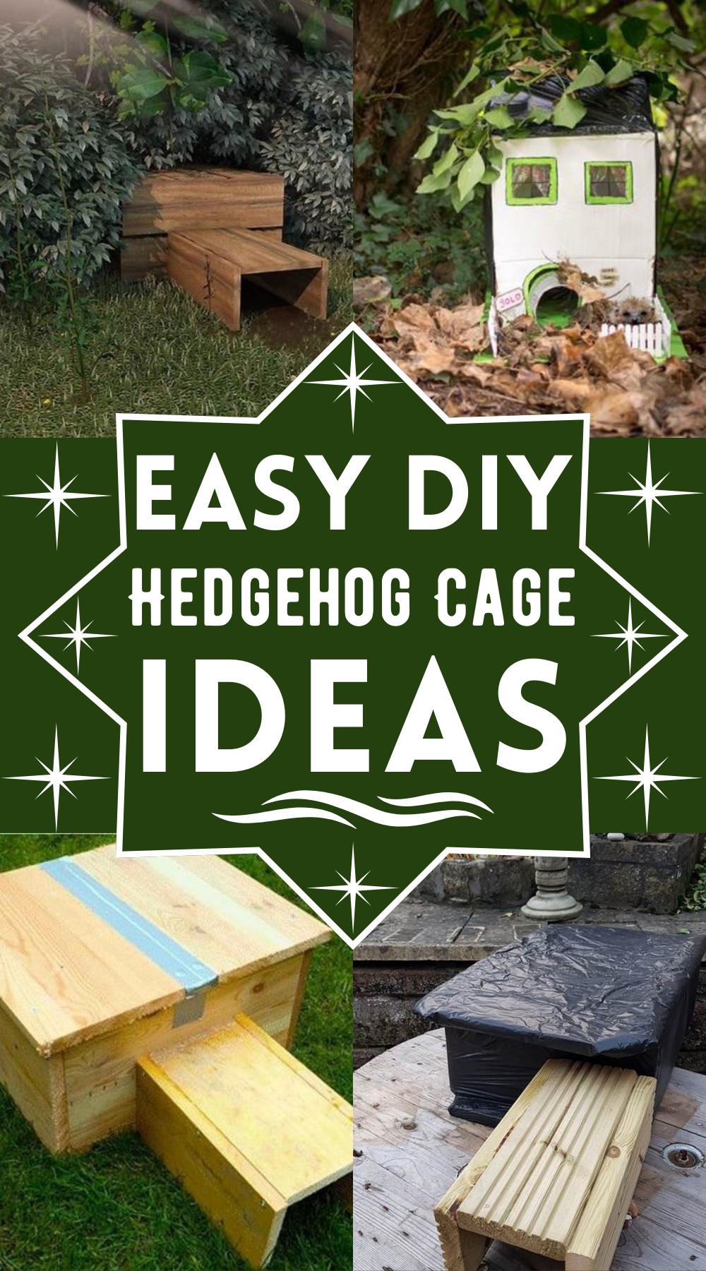 DIY Hedgehog Cage Ideas