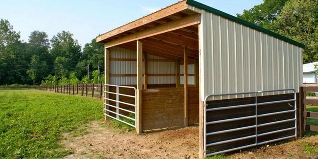  DIY Run In Shed For Horse