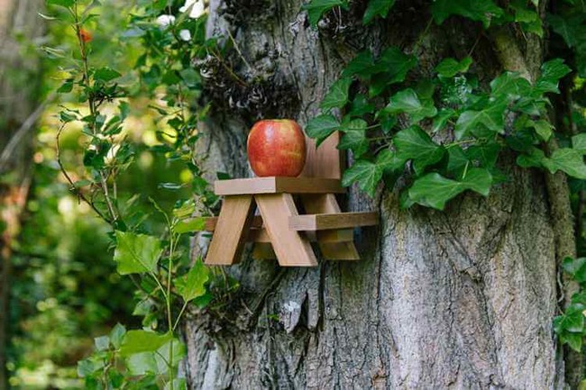 DIY Squirrel Feeder