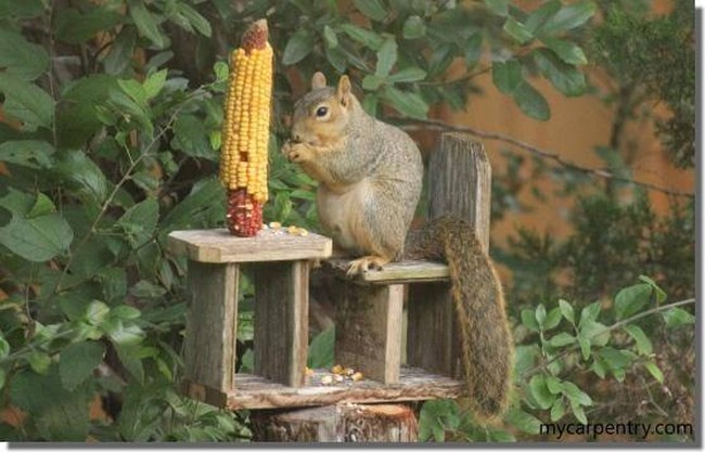 DIY Squirrel Feeder