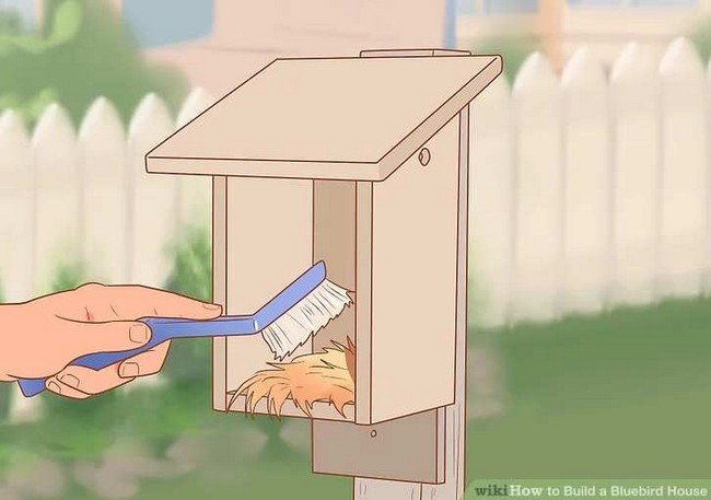 How To Build A Bluebird House