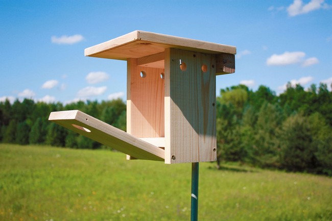 How To Build A Bluebird Nestbox