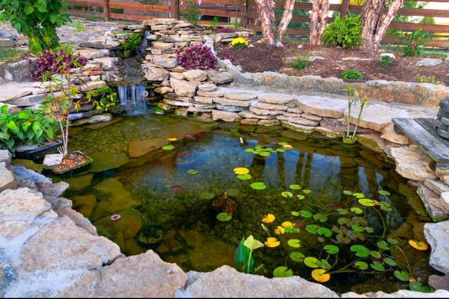 How To Build A Duck Pond