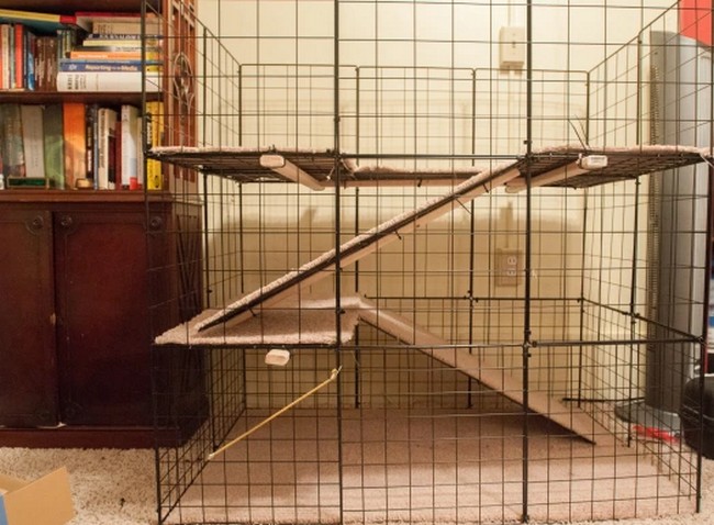 How To Build A Rabbit Cage 