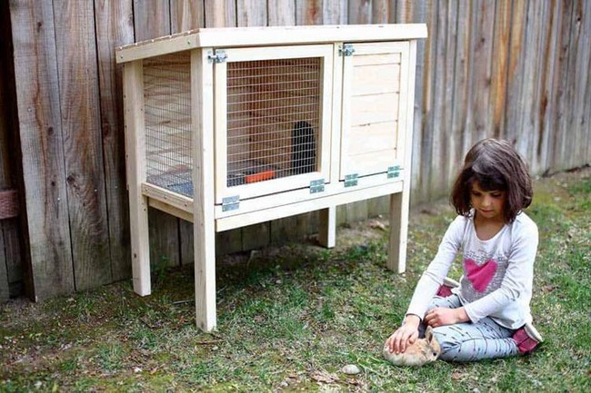 How To Build A Rabbit Hutch For Indoor And Outdoor