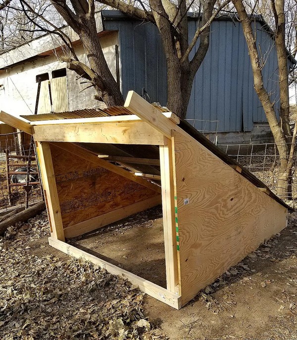 How To Build An Inexpensive Pig Shelter