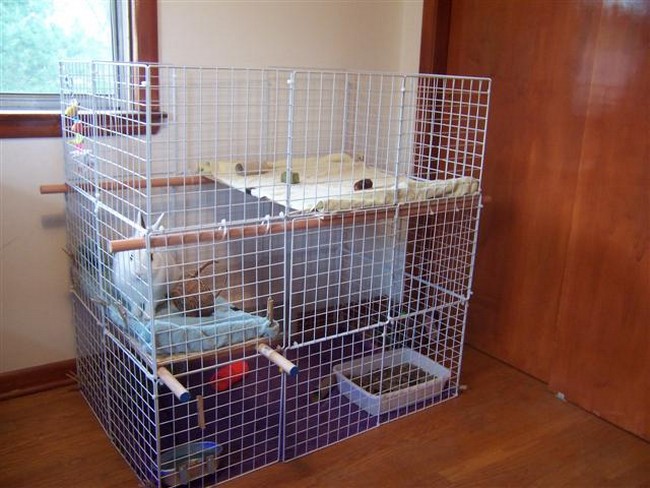 How To Build an Indoor Bunny Cage