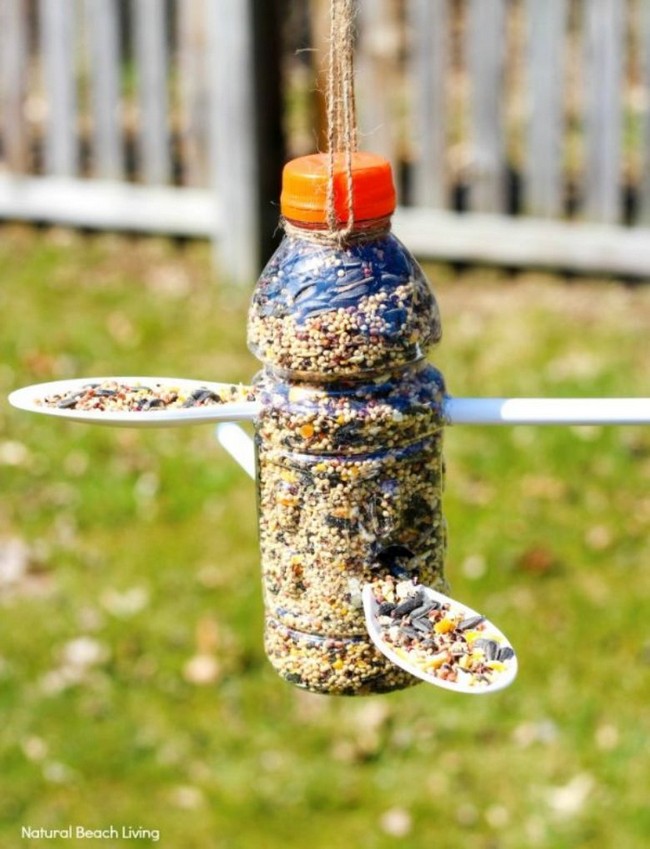 How to Make a Plastic Bottle Bird Feeder