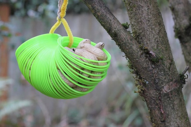 Slinky squirrel feeder