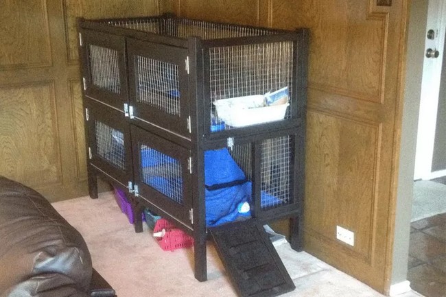 Two Story Rabbit Hutch