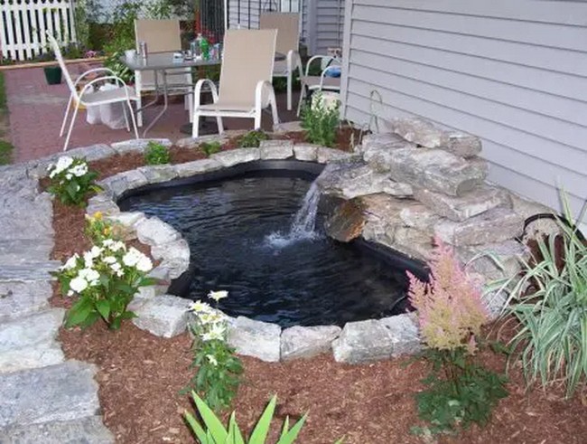  Water Garden and Pond Combo