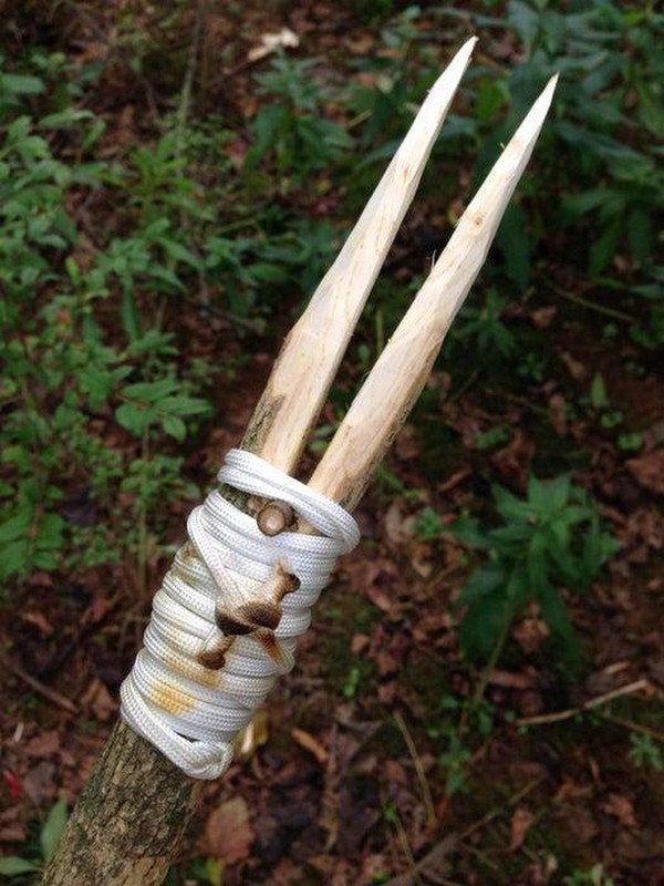 Two-Pronged Hunting Spear DIY