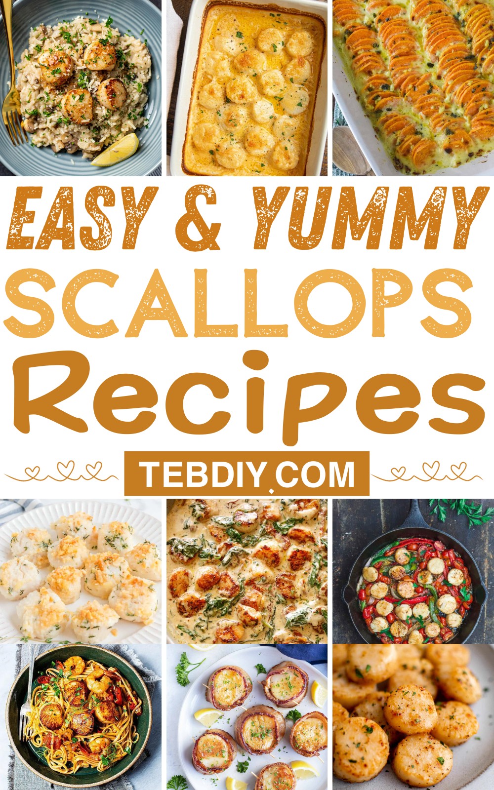 12 Easy Scallops Recipe