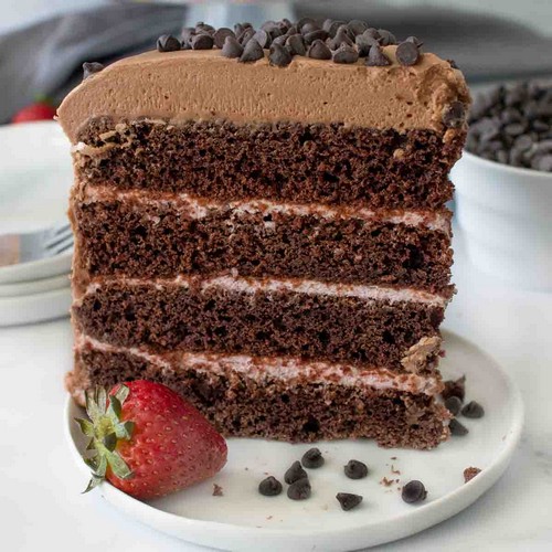Chocolate Cake With Strawberry Mousse Filling
