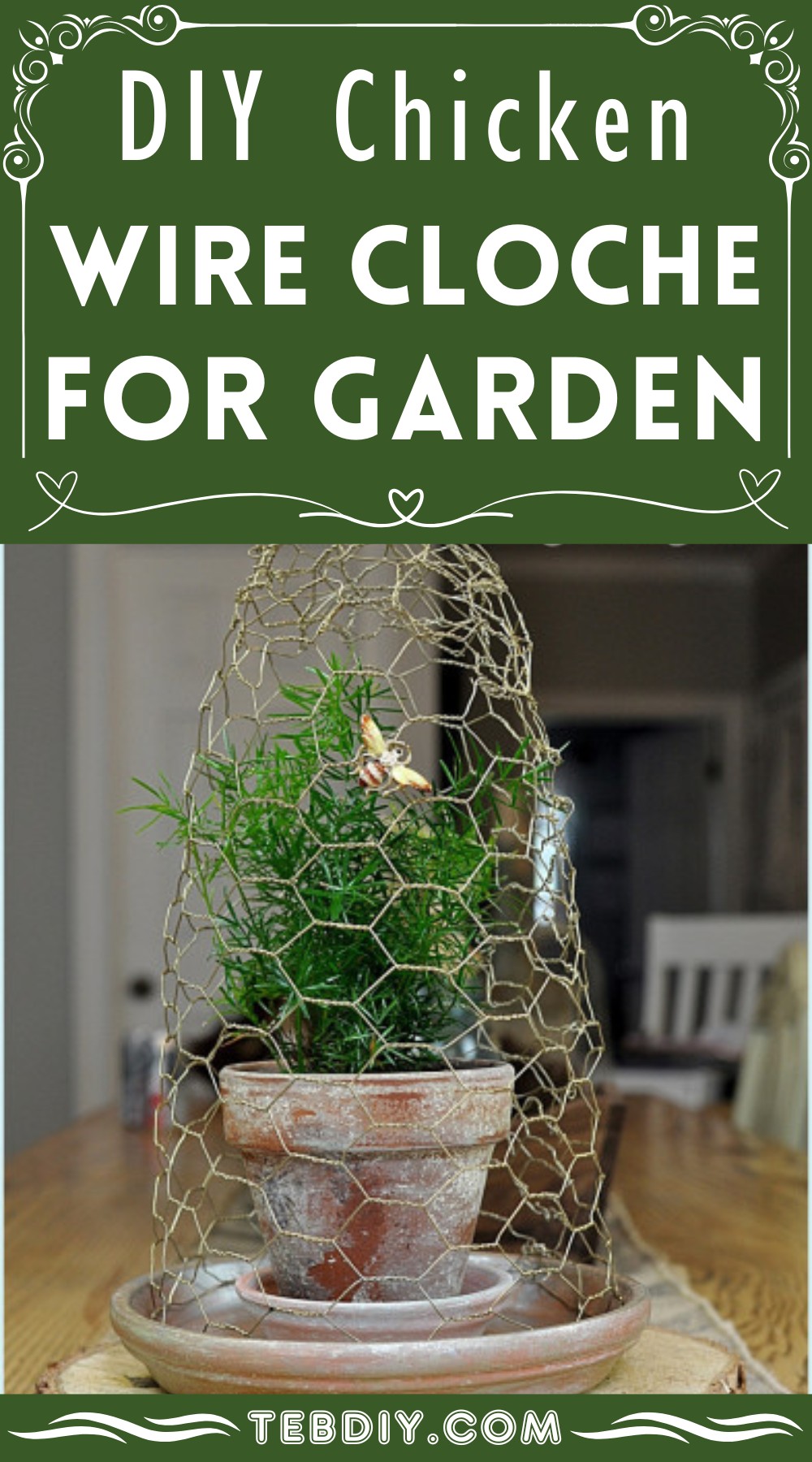 DIY Chicken Wire Cloche For Garden