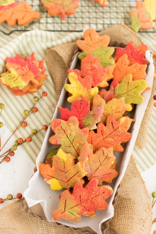 Fall Leaf Cut Out Cookies