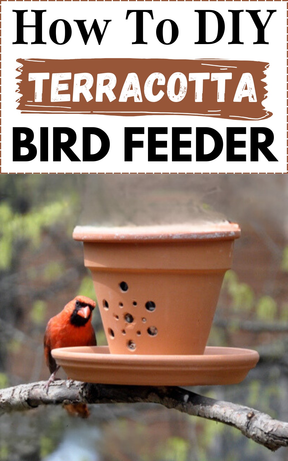 How to DIY Terracotta Bird Feeder