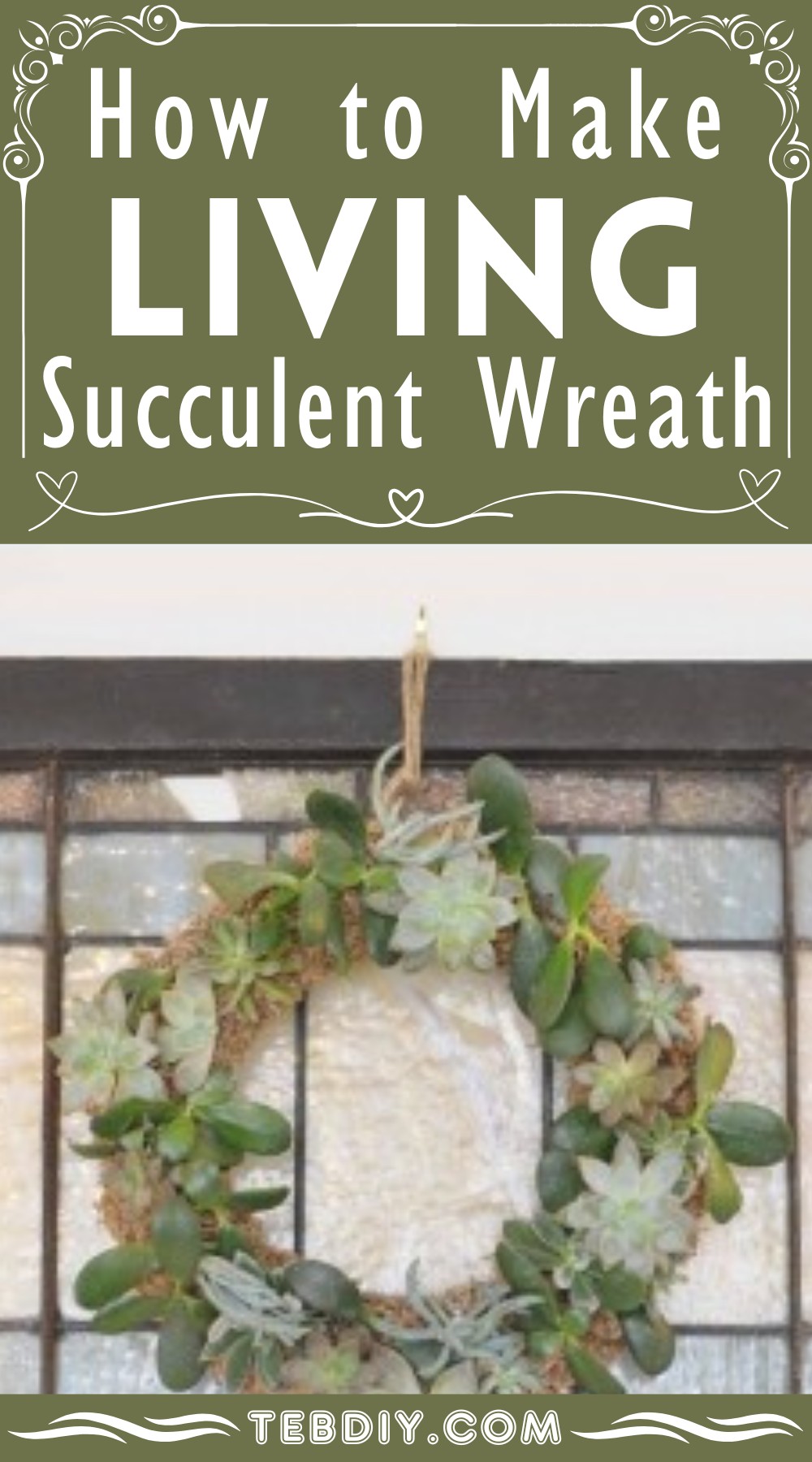 How to Make Living Succulent Wreath