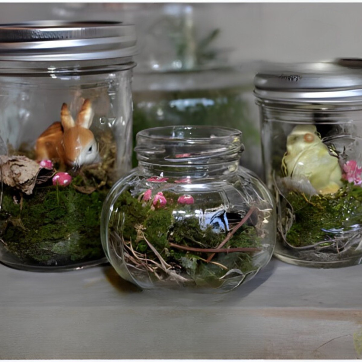 Make DIY Terrarium In Jar For Kids Using Preserved Moss