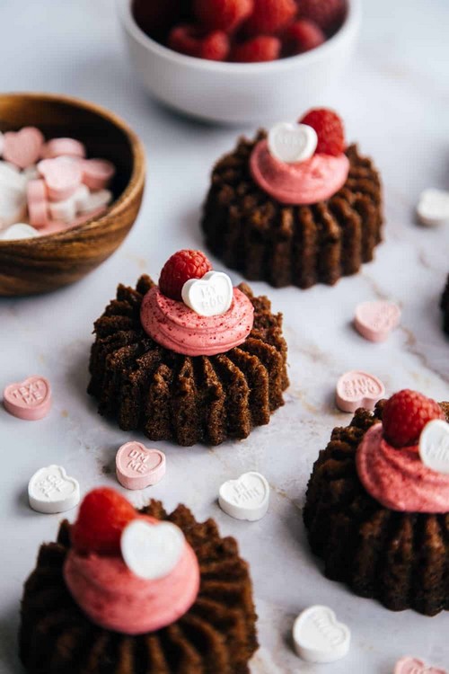 https://tebdiy.com/wp-content/uploads/2024/01/Raspberry-Valentines-Day-Bundt-Cakes.jpg
