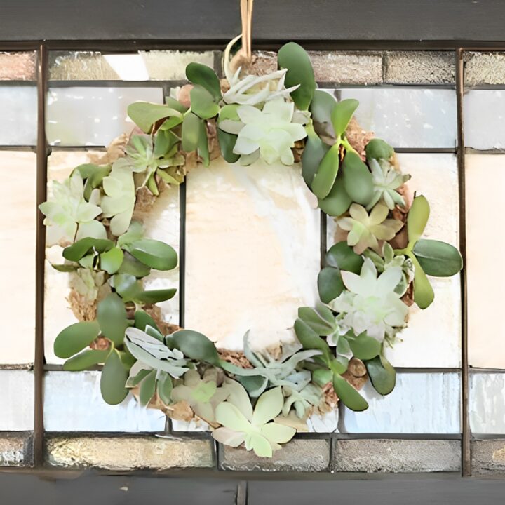 DIY living Succulent Wreath