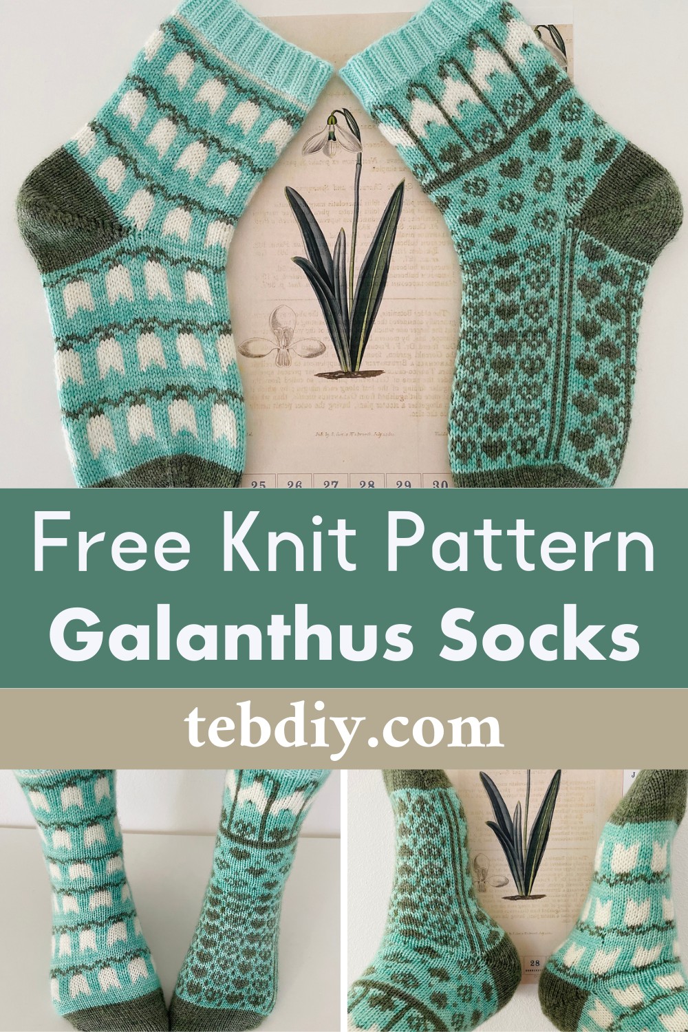 Galanthus Socks 