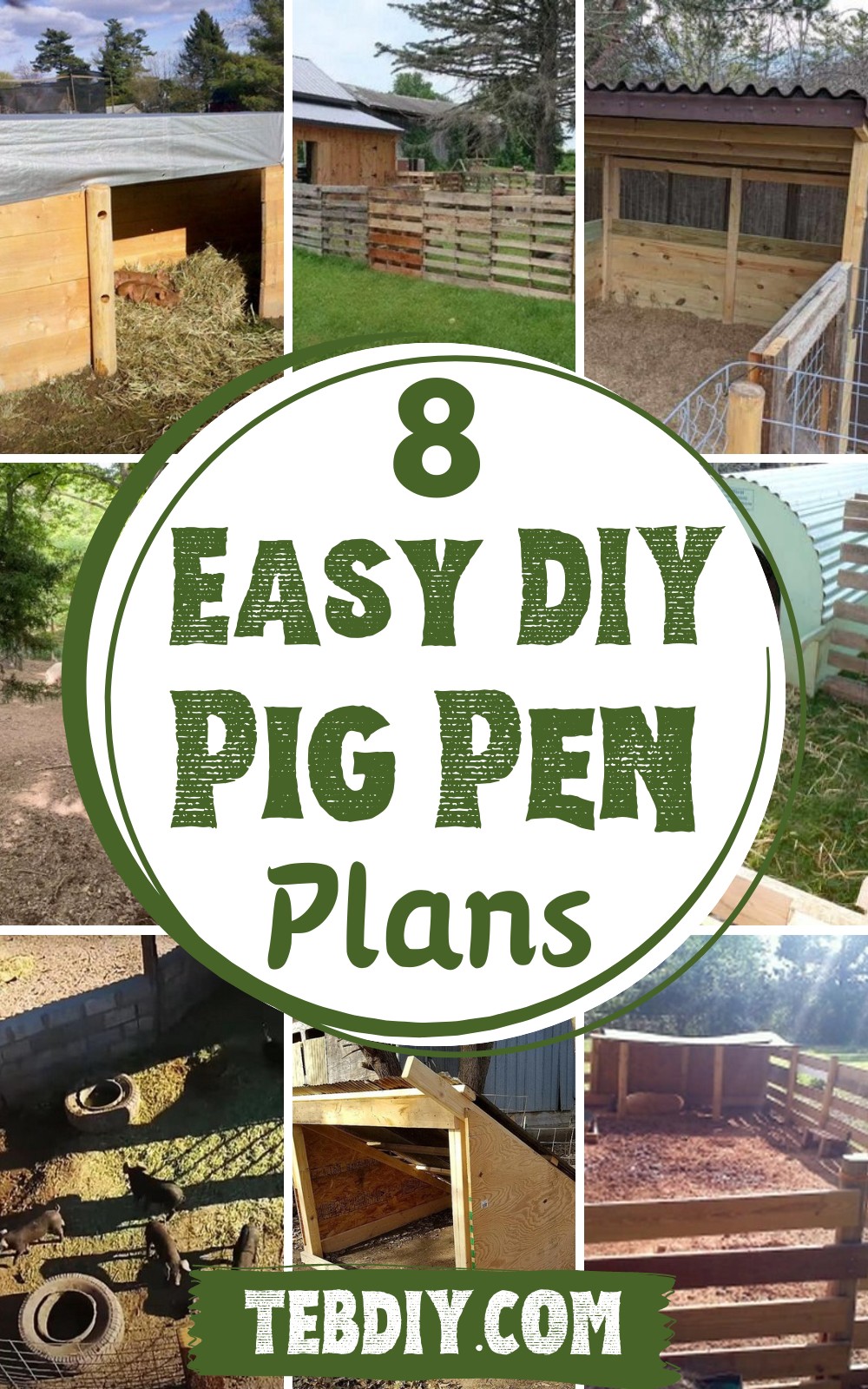 DIY Pig Pen Plans