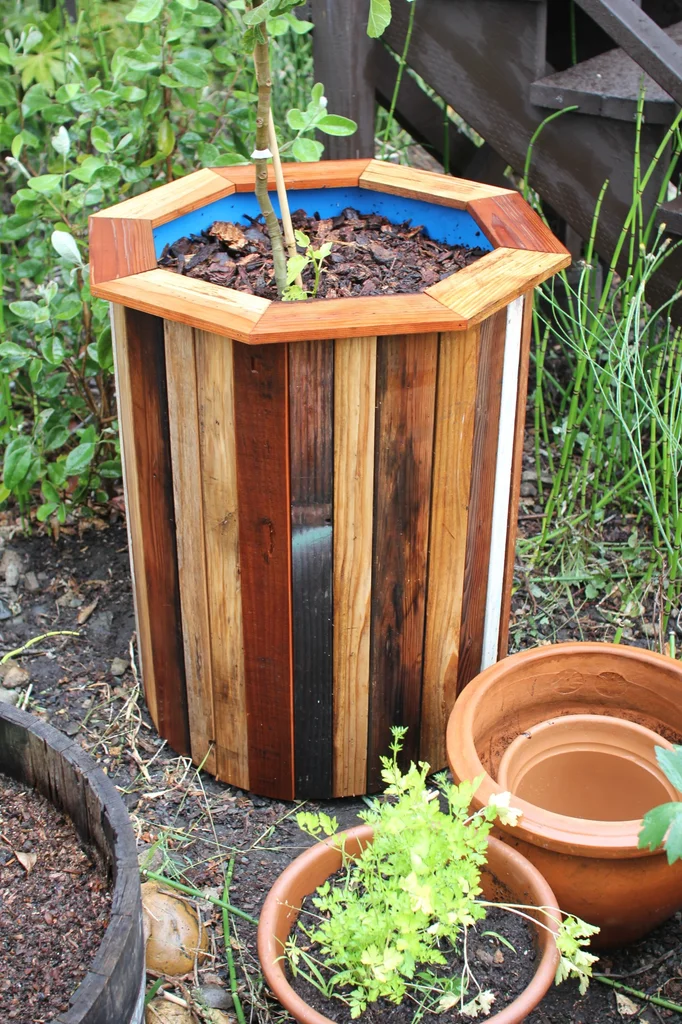 Stylish And Low Cost 55 Gallon Drum Planters
