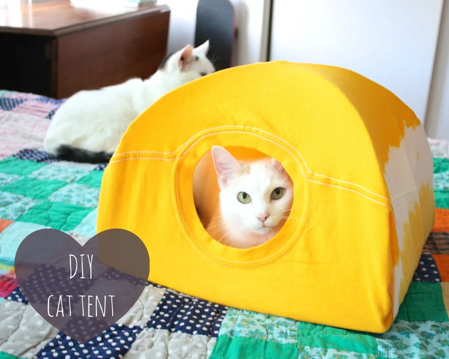 DIY Cat Tent Idea