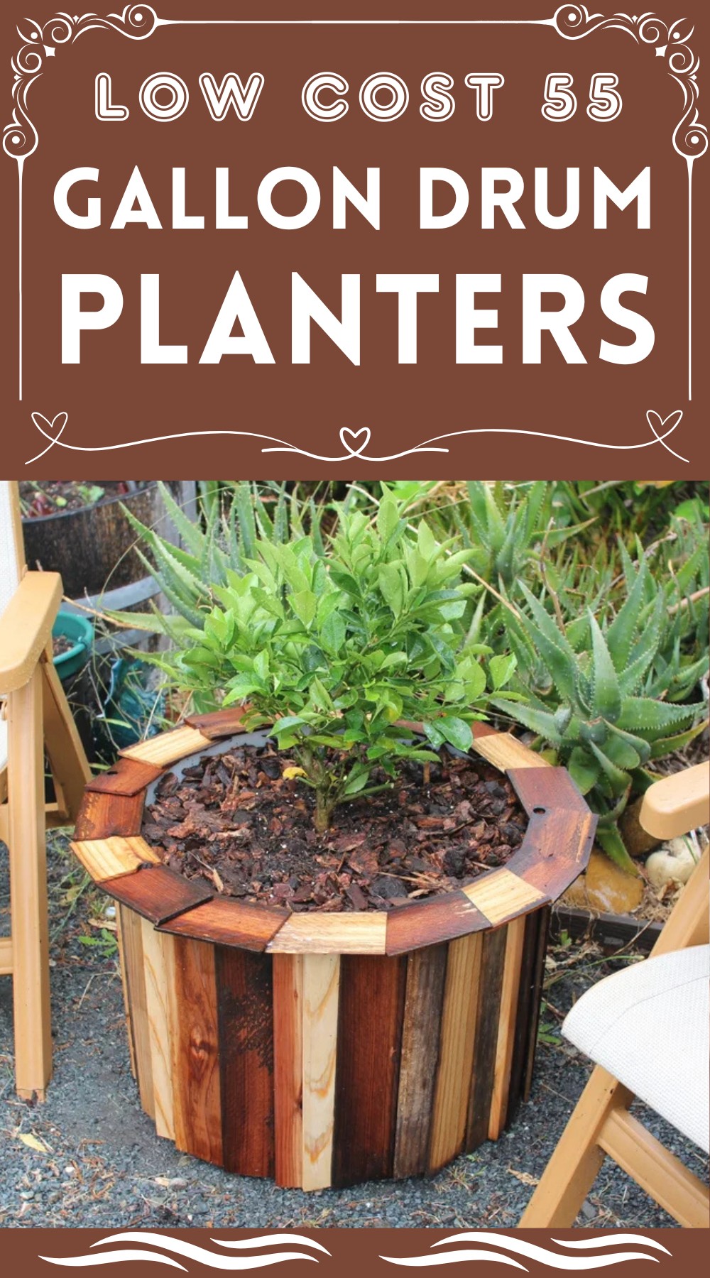 Low Cost 55 Gallon Drum Planters