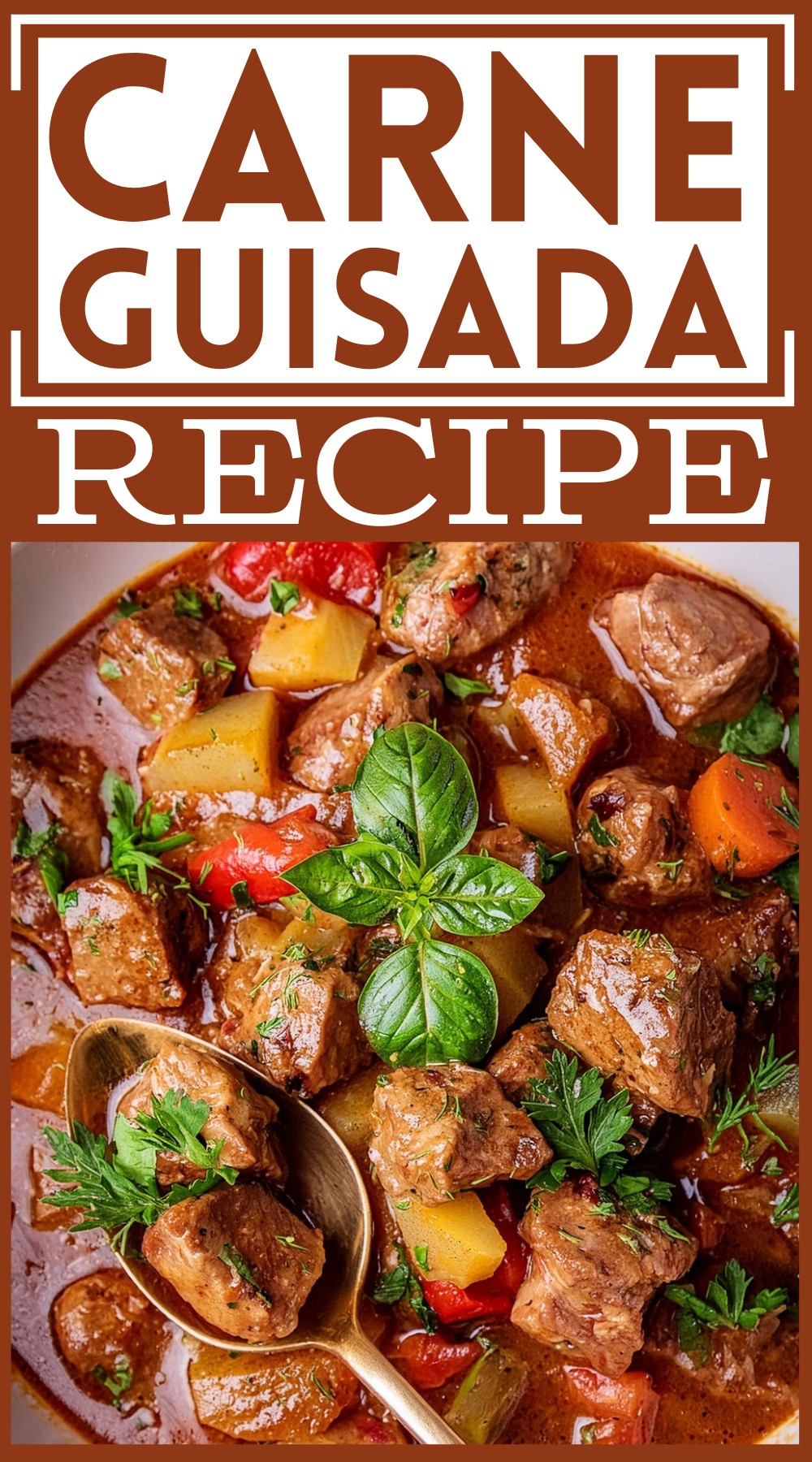 Carne Guisada Recipe