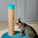 Cat Scratching Post Idea