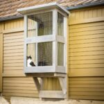 Catio For Felines To Play
