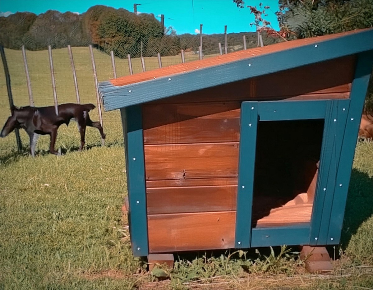 Cheap Dog Kennel